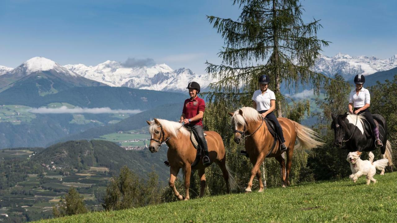 Widmannhof - Urlaub Auf Dem Biobauernhof Villa เบรสซาโนเน ภายนอก รูปภาพ